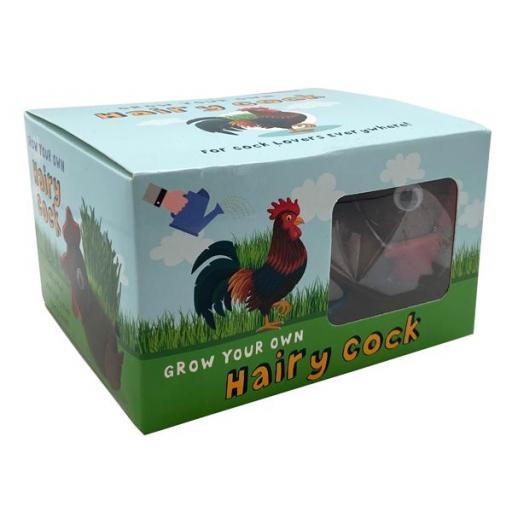 hairy-cock-box.jpg